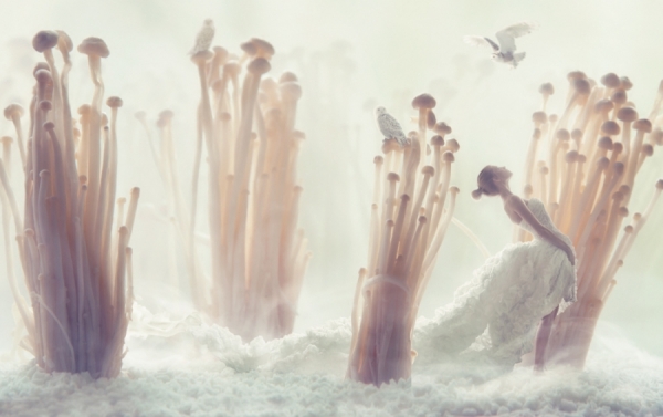 Photograph Elena Vizerskaya Enoki Forest on One Eyeland